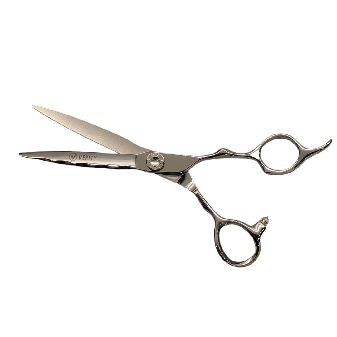 Silver 6 Cutting Scissors